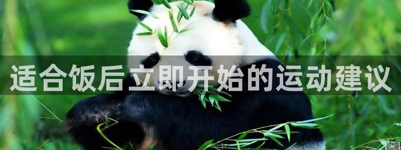 适合饭后立即开始的运动建议