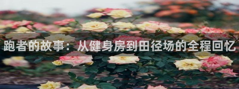 跑者的故事：从健身房到田径场的全程回忆