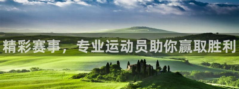 精彩赛事，专业运动员助你赢取胜利