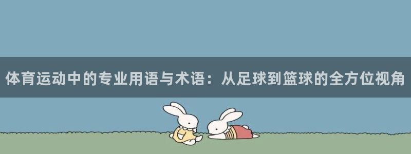 体育运动中的专业用语与术语：从足球到篮球的全方位视角