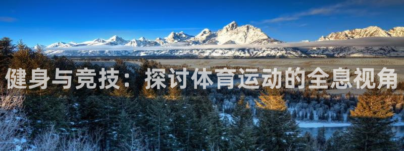 健身与竞技：探讨体育运动的全息视角