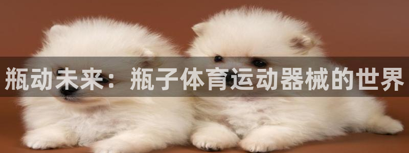 瓶动未来：瓶子体育运动器械的世界