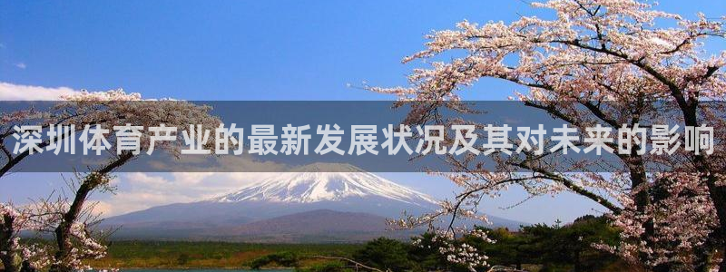 深圳体育产业的最新发展状况及其对未来的影响