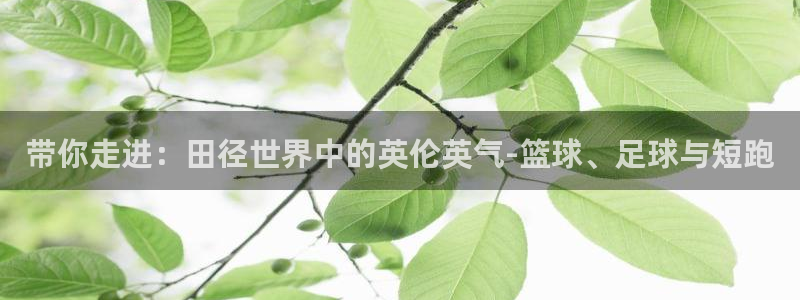 带你走进：田径世界中的英伦英气-篮球、足球与短跑