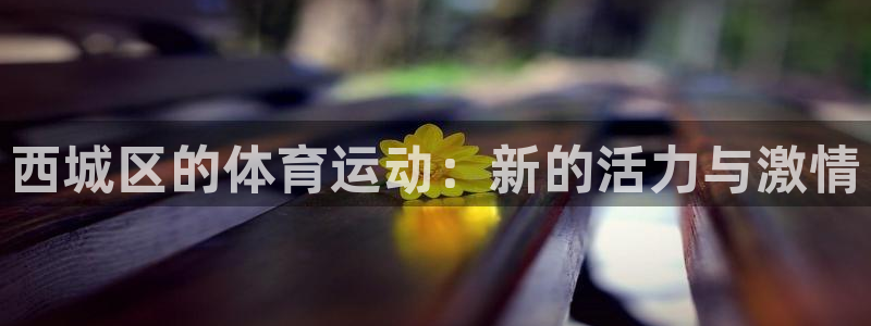 西城区的体育运动：新的活力与激情