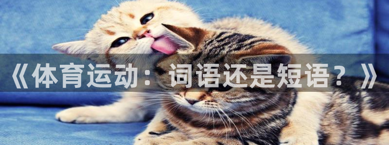《体育运动：词语还是短语？》