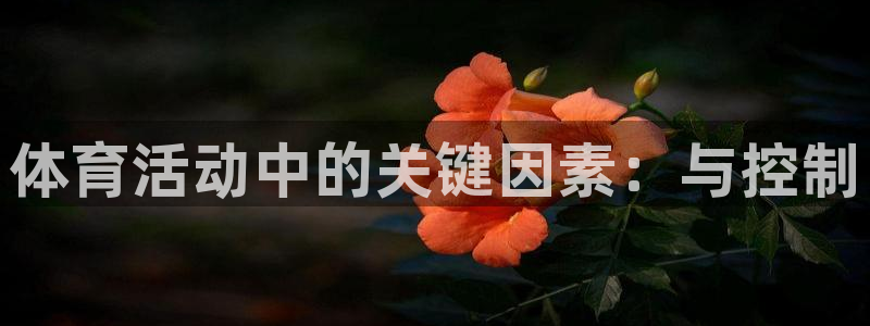 体育活动中的关键因素：与控制