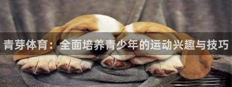 青芽体育：全面培养青少年的运动兴趣与技巧