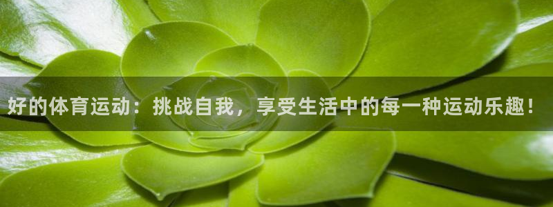 好的体育运动：挑战自我，享受生活中的每一种运动乐趣！
