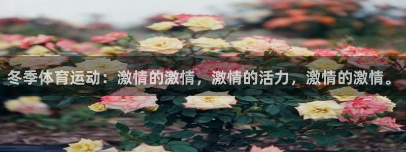 冬季体育运动：激情的激情，激情的活力，激情的激情。