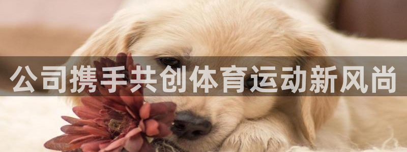 公司携手共创体育运动新风尚
