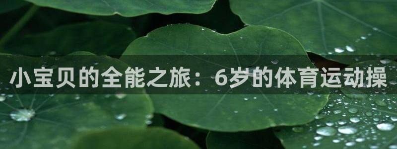 小宝贝的全能之旅：6岁的体育运动操