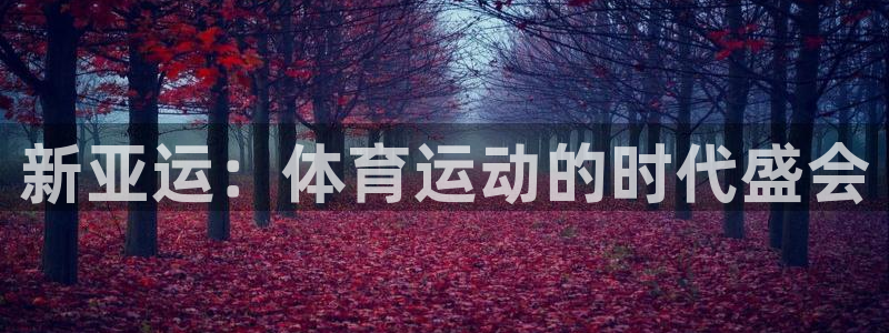 新亚运：体育运动的时代盛会