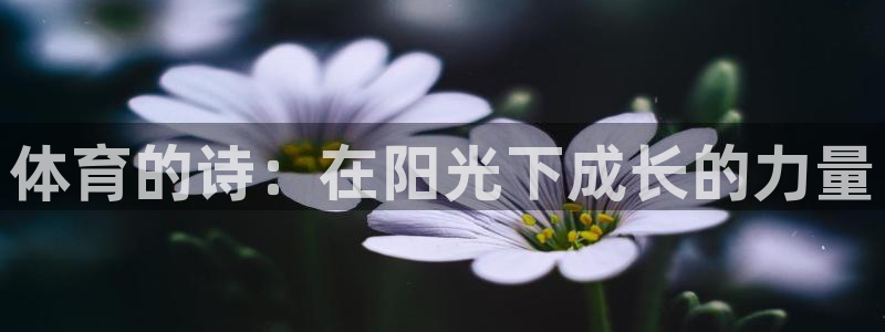体育的诗：在阳光下成长的力量