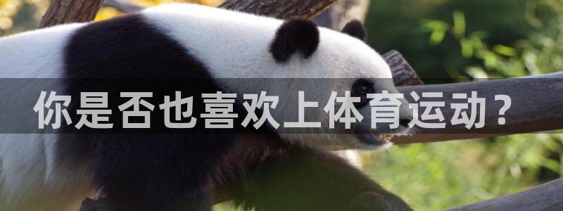 你是否也喜欢上体育运动？