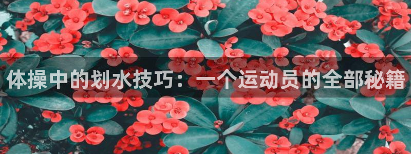 体操中的划水技巧：一个运动员的全部秘籍